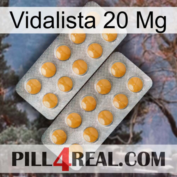 Vidalista 20 Mg levitra2.jpg